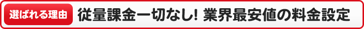 従量課金一切なし、動画配信サービス最安値の料金設定